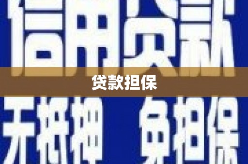 新蔡贷款担保