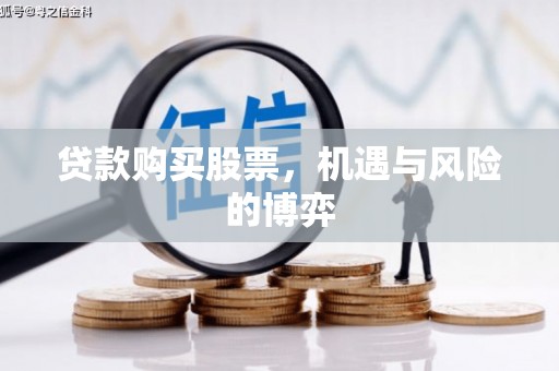 新蔡贷款购买股票，机遇与风险的博弈