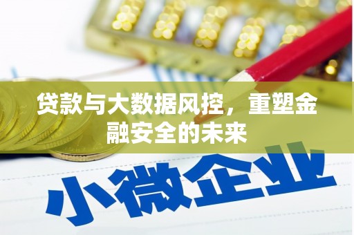 新蔡贷款与大数据风控，重塑金融安全的未来
