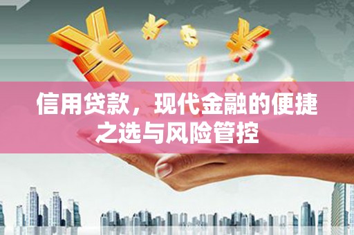 新蔡信用贷款，现代金融的便捷之选与风险管控