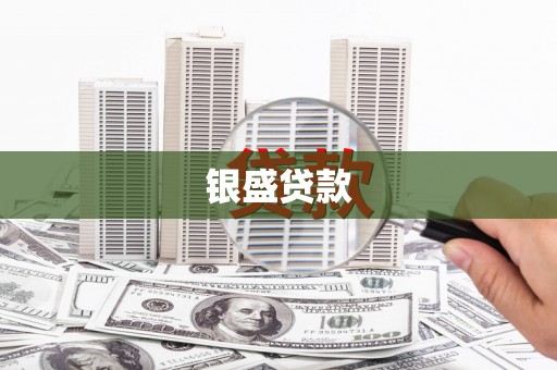 新蔡银盛贷款