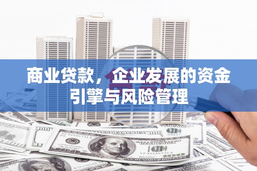 新蔡商业贷款，企业发展的资金引擎与风险管理