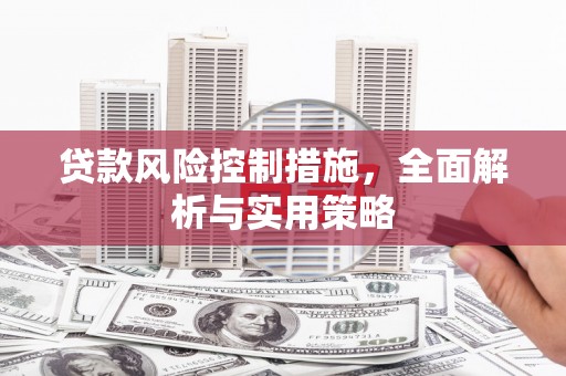 新蔡贷款风险控制措施，全面解析与实用策略