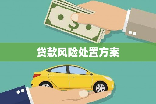 新蔡贷款风险处置方案