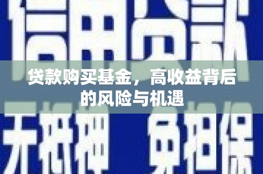新蔡贷款购买基金，高收益背后的风险与机遇
