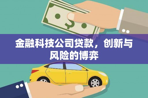 新蔡金融科技公司贷款，创新与风险的博弈