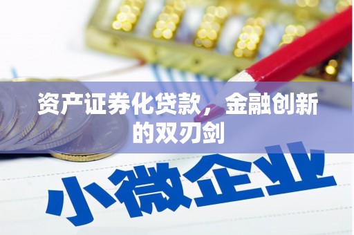 新蔡资产证券化贷款，金融创新的双刃剑