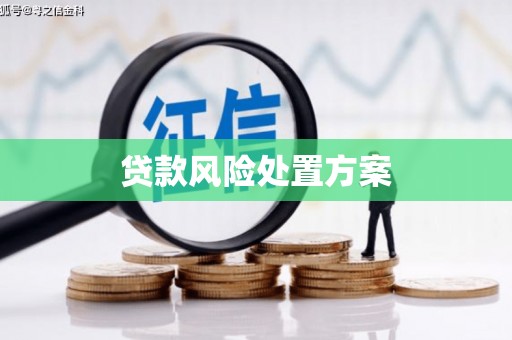 新蔡贷款风险处置方案