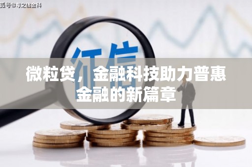新蔡微粒贷，金融科技助力普惠金融的新篇章