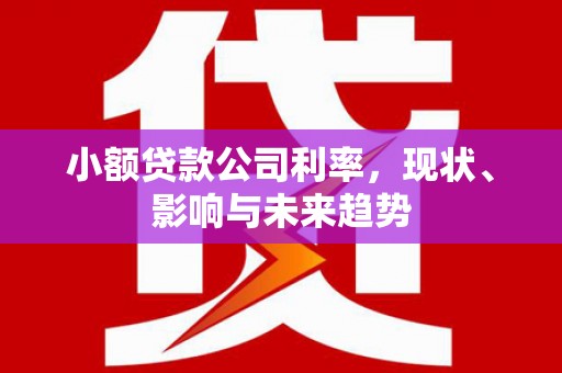 新蔡小额贷款公司利率，现状、影响与未来趋势