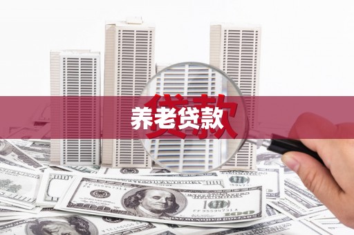 新蔡养老贷款