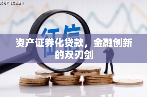 新蔡资产证券化贷款，金融创新的双刃剑