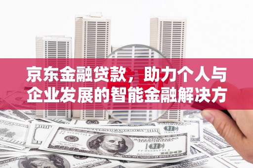 新蔡京东金融贷款，助力个人与企业发展的智能金融解决方案