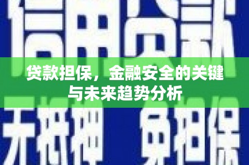 新蔡贷款担保，金融安全的关键与未来趋势分析