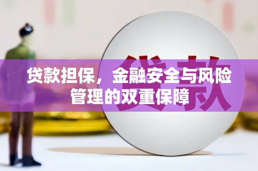 新蔡贷款担保，金融安全与风险管理的双重保障