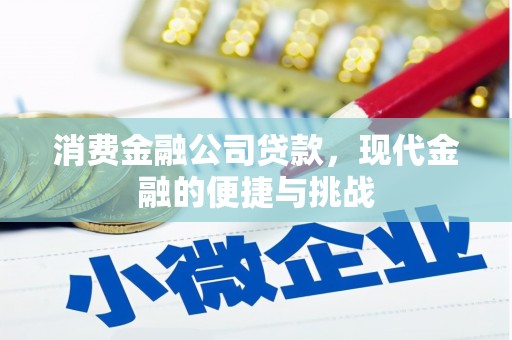 新蔡消费金融公司贷款，现代金融的便捷与挑战