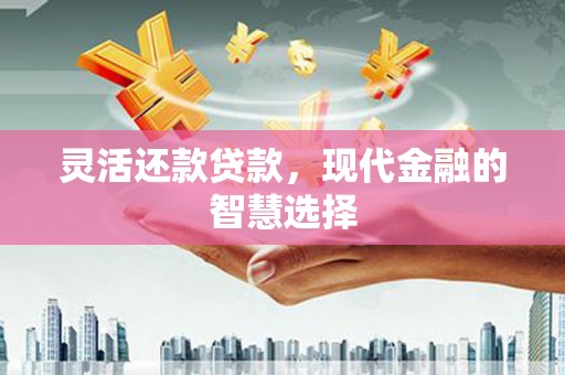 新蔡灵活还款贷款，现代金融的智慧选择