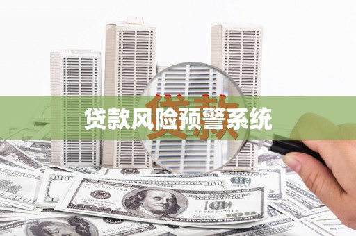新蔡贷款风险预警系统