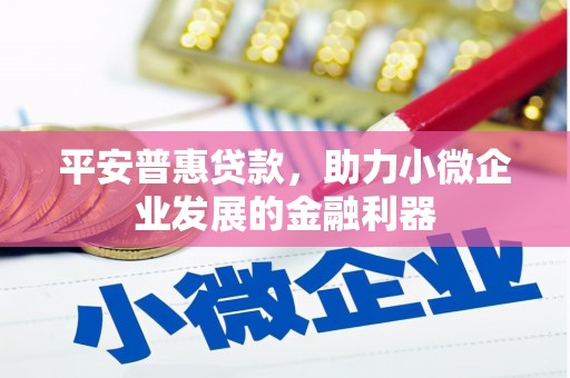 新蔡平安普惠贷款，助力小微企业发展的金融利器