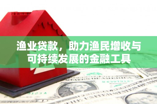 新蔡渔业贷款，助力渔民增收与可持续发展的金融工具