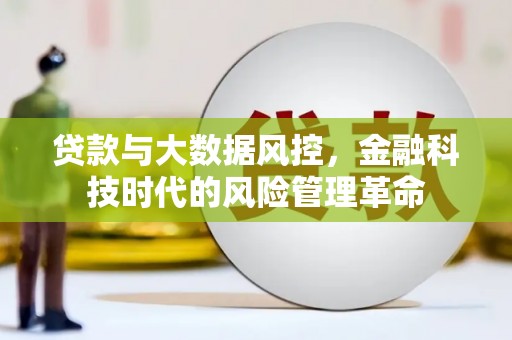 新蔡贷款与大数据风控，金融科技时代的风险管理革命