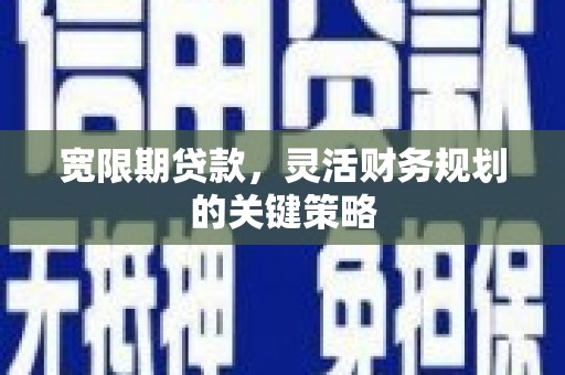 新蔡宽限期贷款，灵活财务规划的关键策略