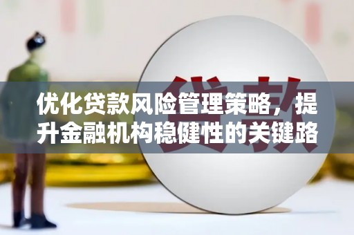 新蔡优化贷款风险管理策略，提升金融机构稳健性的关键路径