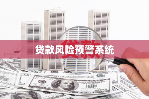 新蔡贷款风险预警系统