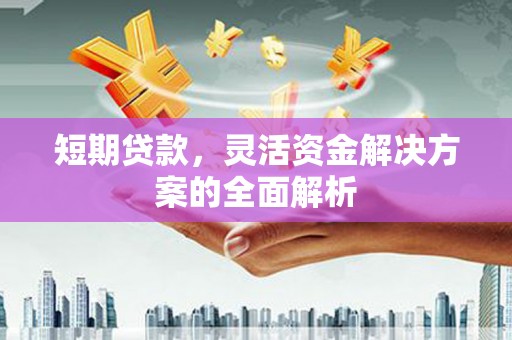 新蔡短期贷款，灵活资金解决方案的全面解析
