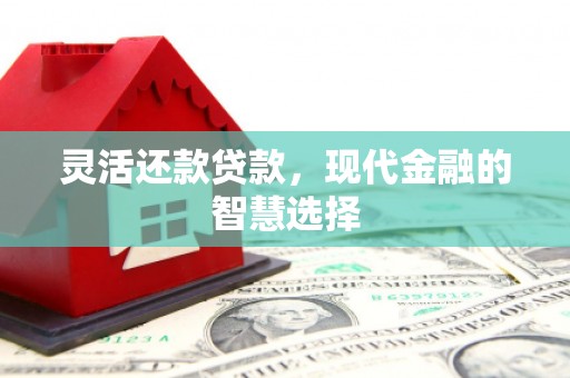 新蔡灵活还款贷款，现代金融的智慧选择