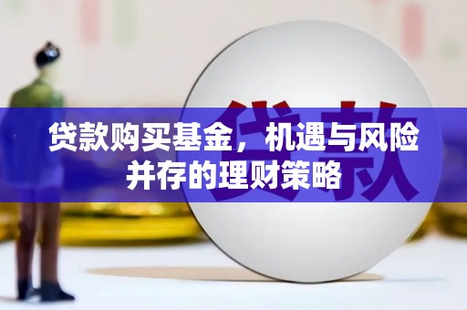 新蔡贷款购买基金，机遇与风险并存的理财策略