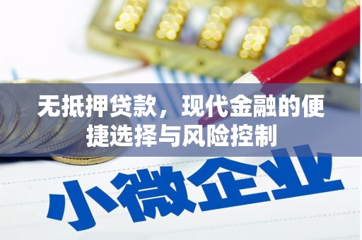 新蔡无抵押贷款，现代金融的便捷选择与风险控制