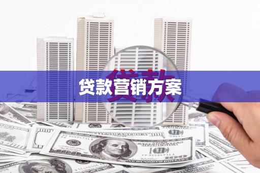 新蔡贷款营销方案