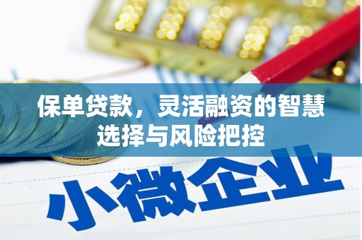 新蔡保单贷款，灵活融资的智慧选择与风险把控
