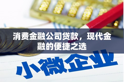 新蔡消费金融公司贷款，现代金融的便捷之选