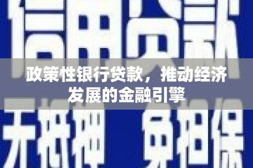 新蔡政策性银行贷款，推动经济发展的金融引擎