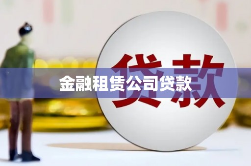 新蔡金融租赁公司贷款