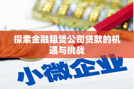 新蔡探索金融租赁公司贷款的机遇与挑战