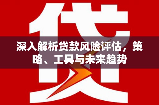 新蔡深入解析贷款风险评估，策略、工具与未来趋势