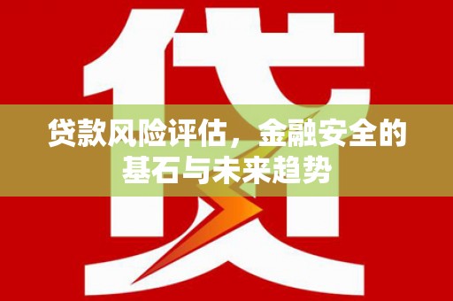 新蔡贷款风险评估，金融安全的基石与未来趋势