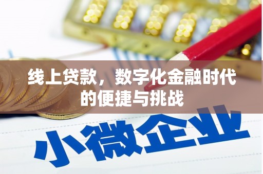 新蔡线上贷款，数字化金融时代的便捷与挑战