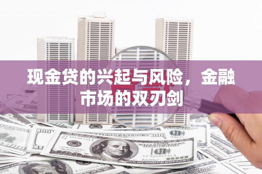 新蔡现金贷的兴起与风险，金融市场的双刃剑