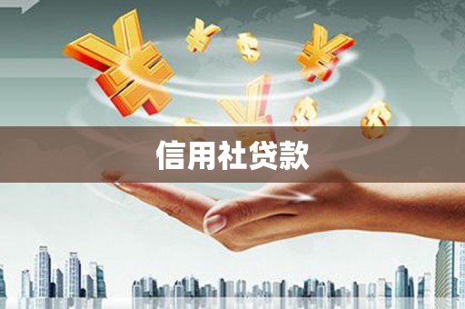 新蔡信用社贷款