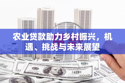 新蔡农业贷款助力乡村振兴，机遇、挑战与未来展望