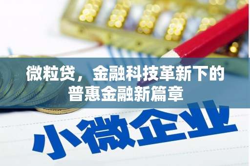 新蔡微粒贷，金融科技革新下的普惠金融新篇章