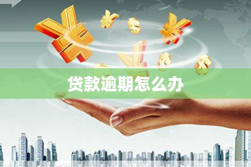 新蔡贷款逾期怎么办