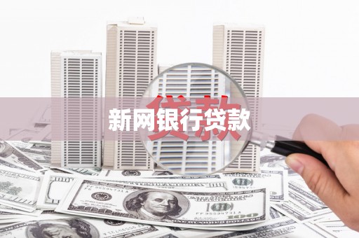 新蔡新网银行贷款