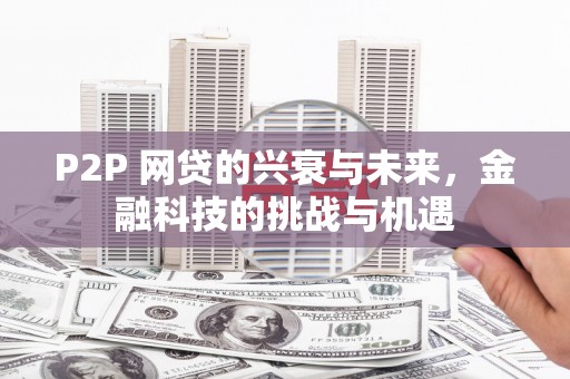 新蔡P2P 网贷的兴衰与未来，金融科技的挑战与机遇