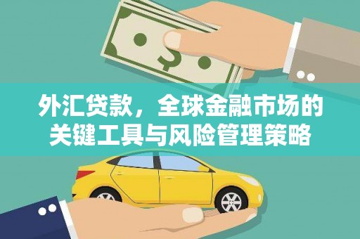 新蔡外汇贷款，全球金融市场的关键工具与风险管理策略