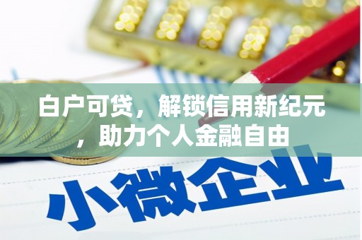 新蔡白户可贷，解锁信用新纪元，助力个人金融自由